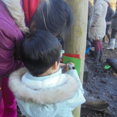 Festive Fun in the Forest
