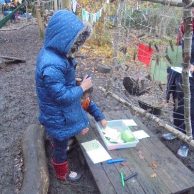 Festive Fun in the Forest