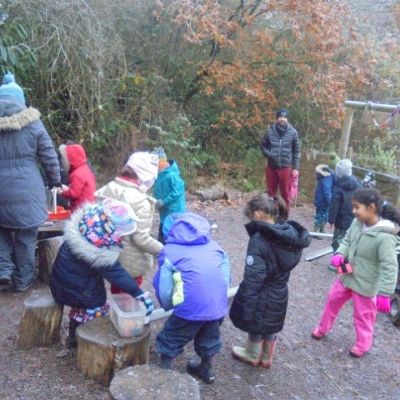 Festive Fun in the Forest
