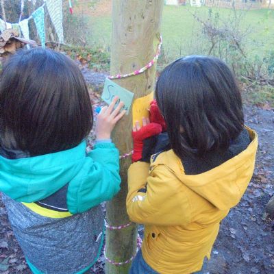 Festive Fun in the Forest