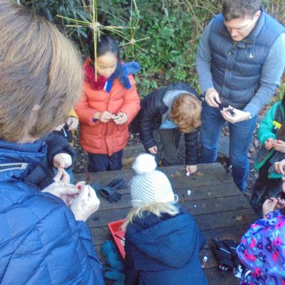 Festive Fun in the Forest
