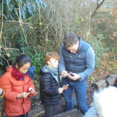 Festive Fun in the Forest