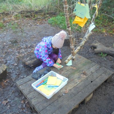 Festive Fun in the Forest