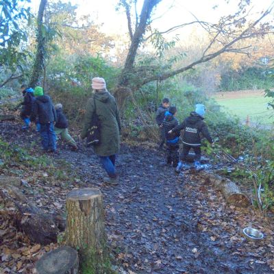 Festive Fun in the Forest