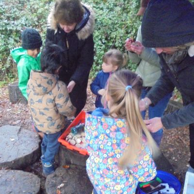 Festive Fun in the Forest