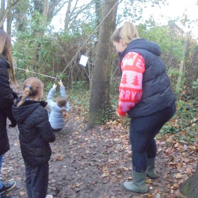 Festive Fun in the Forest